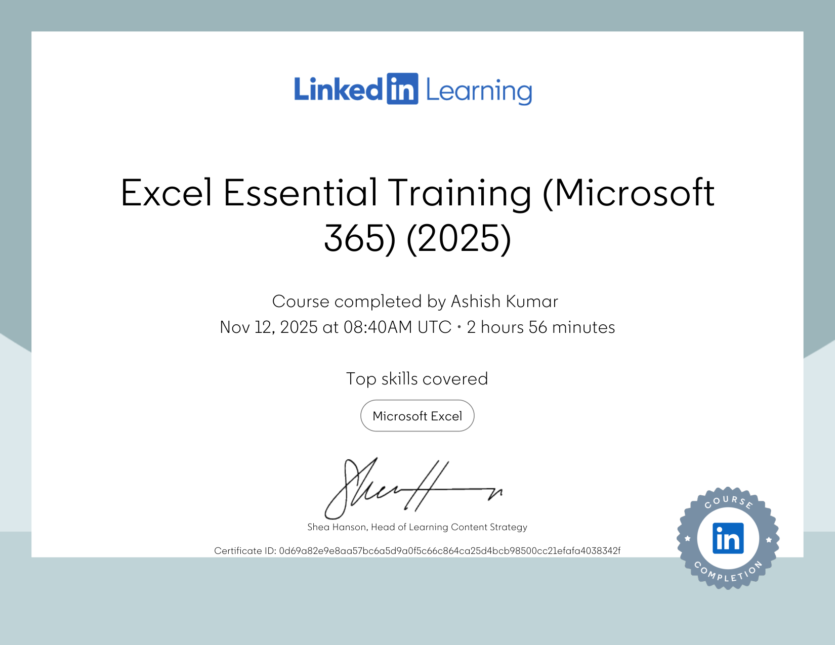 Excel Essential Training (Microsoft 365) (2025)